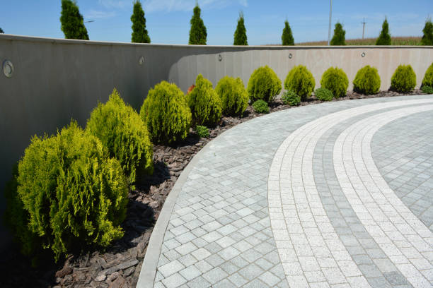 Reasons to Select Us for Your Driveway Paving Requirements in Drexel, NC